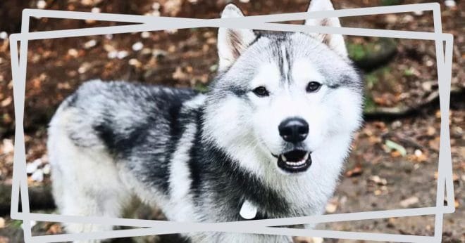 BeBestPress.com -Spreading the Good News